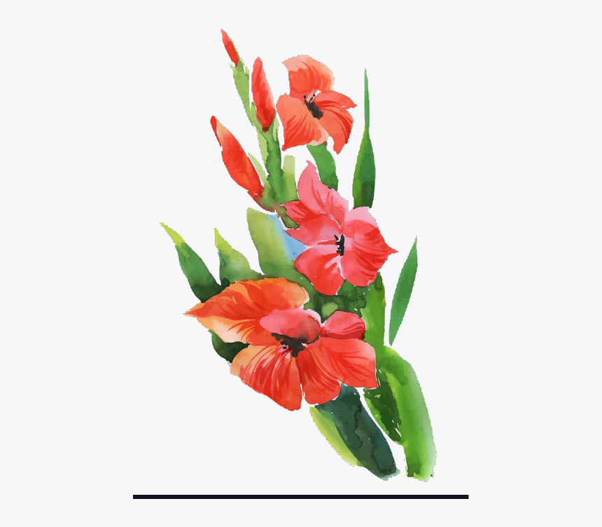 Gladiolus Freetoedit - Gladiolus, HD Png Download