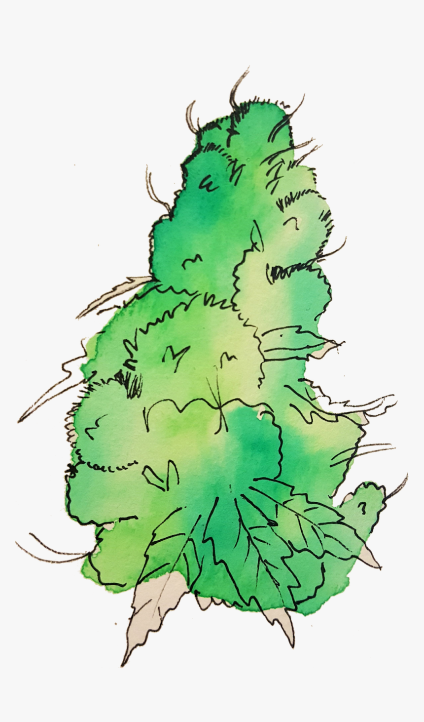 Illustration, HD Png Download