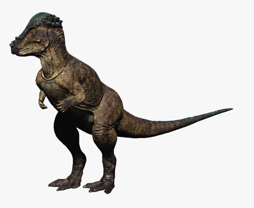 The Isle Wikia - Isle Pachycephalosaurus, HD Png Download