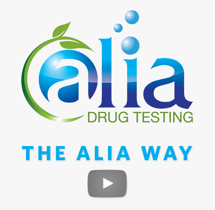 Drug Testing For Individuals - Graphic Design, HD Png Download
