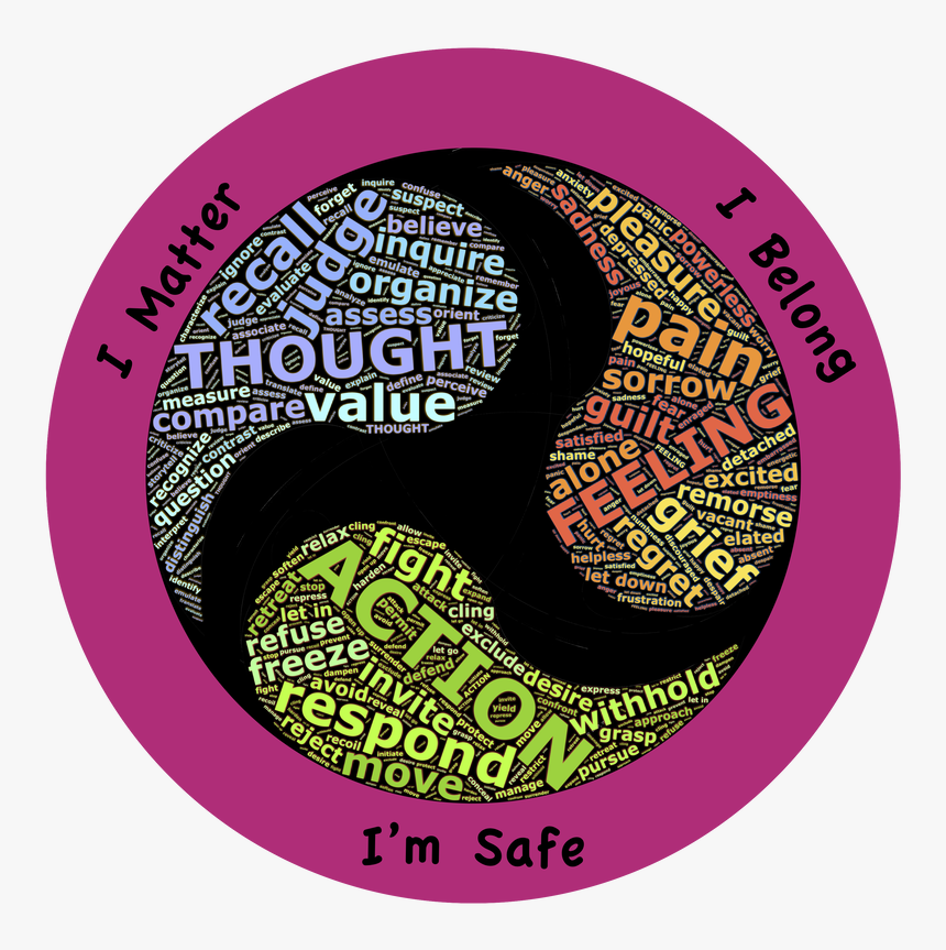 Picture - Circle, HD Png Download