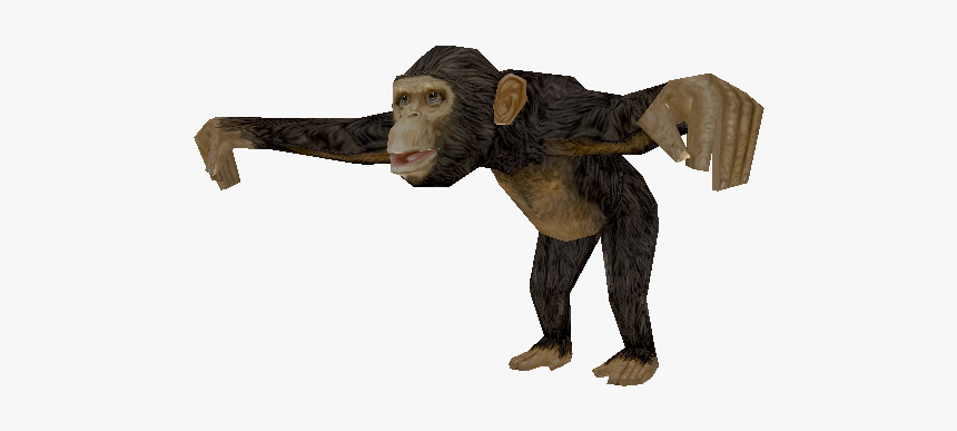 Download Zip Archive - Indian Elephant, HD Png Download