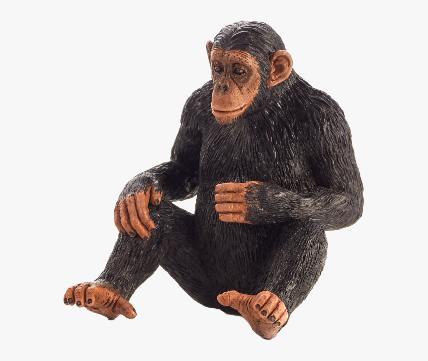 Monkey Knuckle, HD Png Download