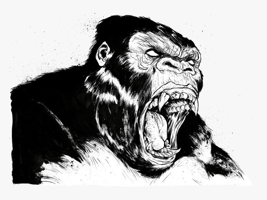 Common Chimpanzee, HD Png Download