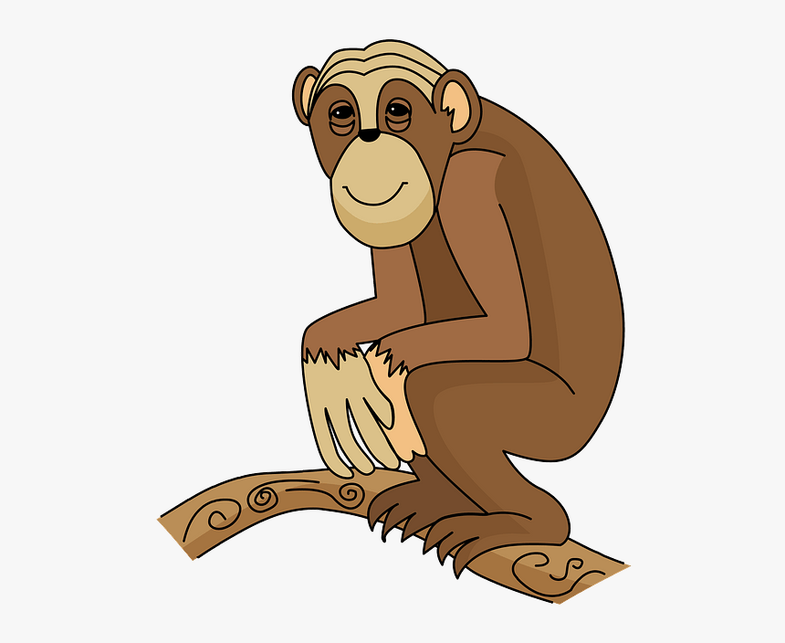 Common Chimpanzee, HD Png Download