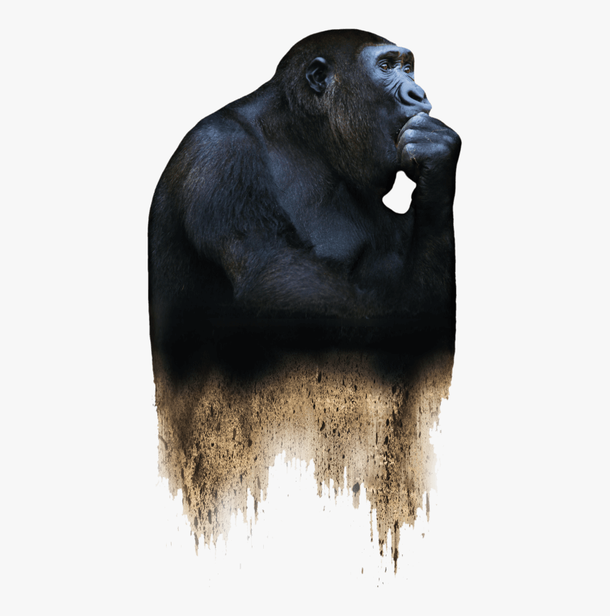Extinction La Fin D Un Monde, HD Png Download