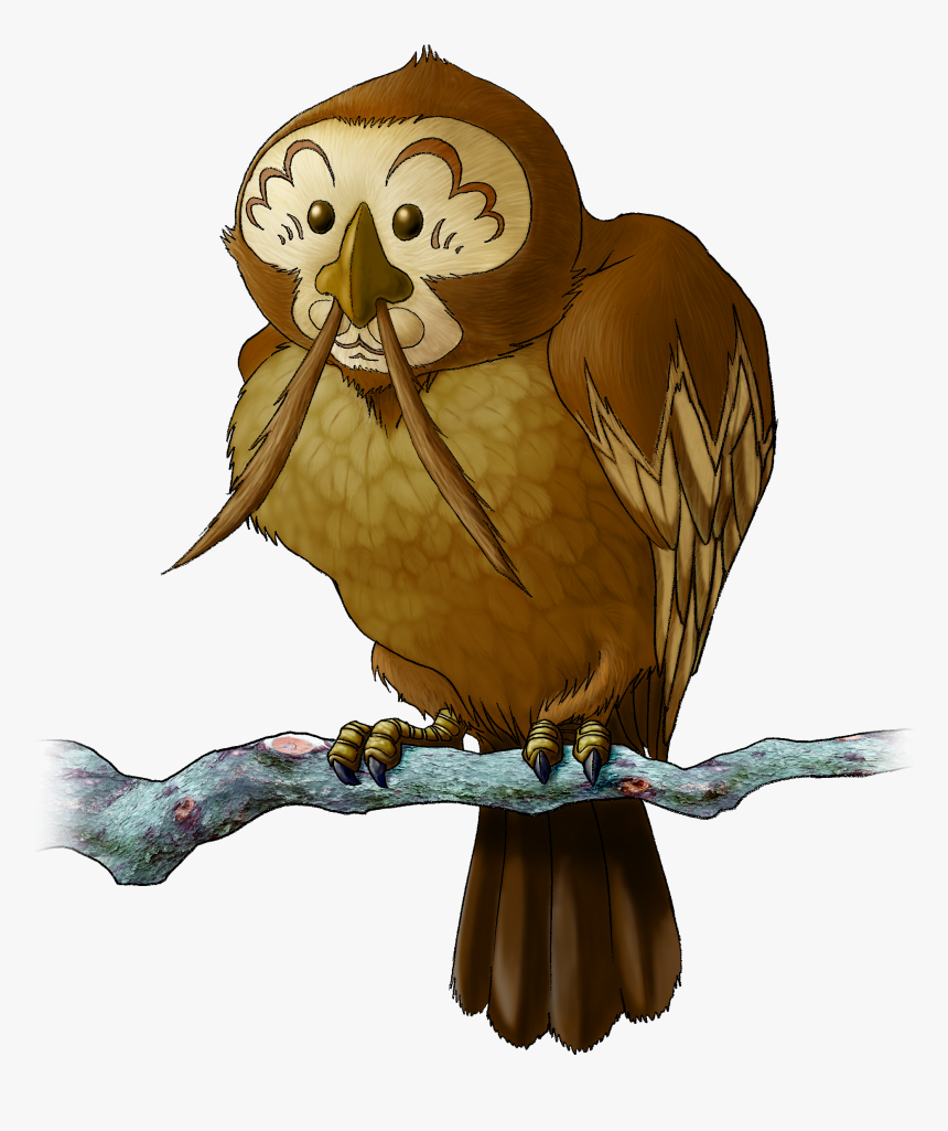 The Legend Of Zelda - Kaepora Gaebora, HD Png Download