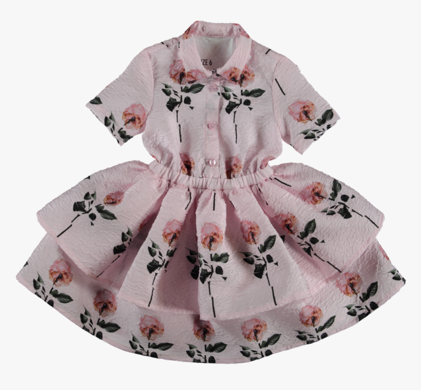 Pat8rnm, HD Png Download