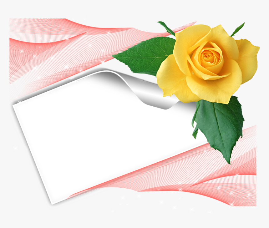 Cadre Rose Jaune, HD Png Download