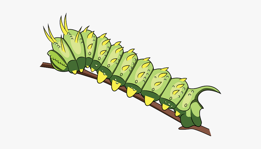 Caterpillar, HD Png Download