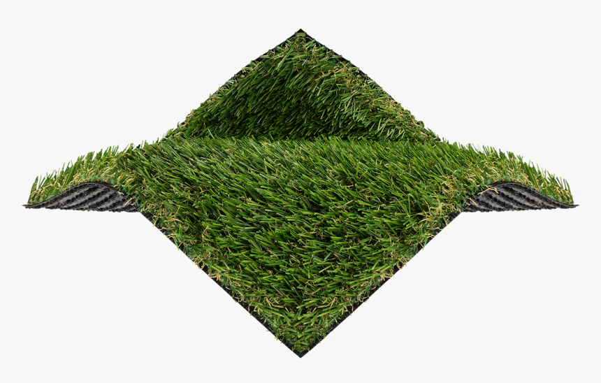 Lawn, HD Png Download