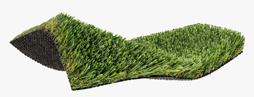 Lawn, HD Png Download