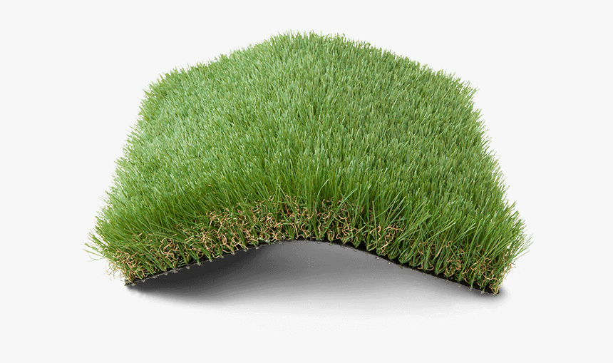 Lawn, HD Png Download