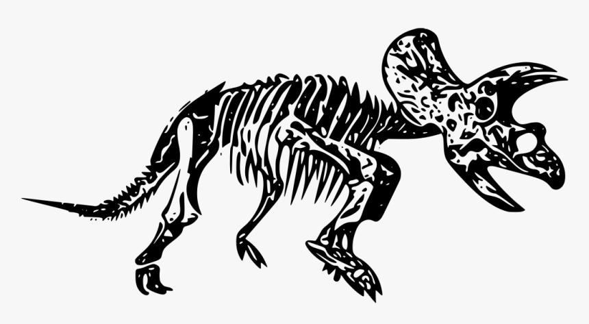 Dinosaur Fossil Transparent Background, HD Png Download