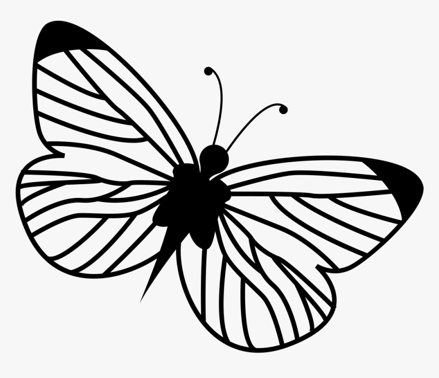 Butterfly - Butterfly Icon Free, HD Png Download