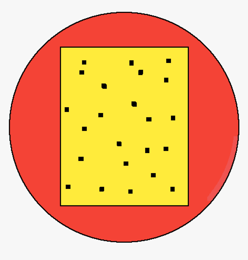 Circle, HD Png Download