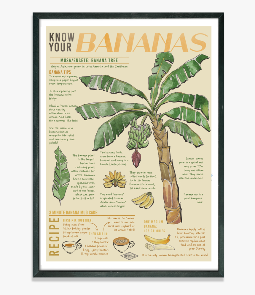 Rebsville Know Your Bananas Print Cutout, HD Png Download
