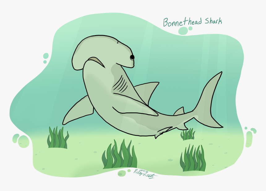 Shark Week - Cartoon, HD Png Download