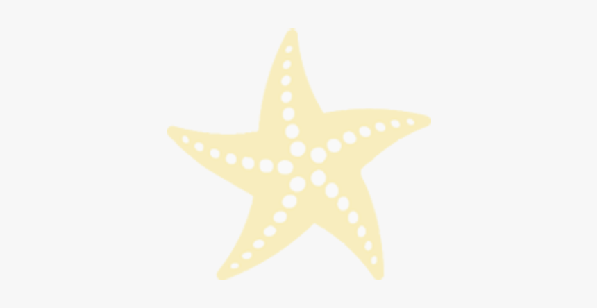 Starfish, HD Png Download