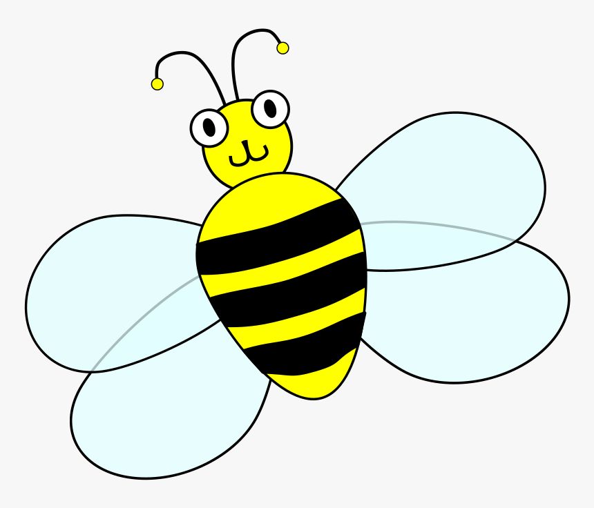 Clipart Of Contest, Contests And Spelling - Net-winged Insects, HD Png Download