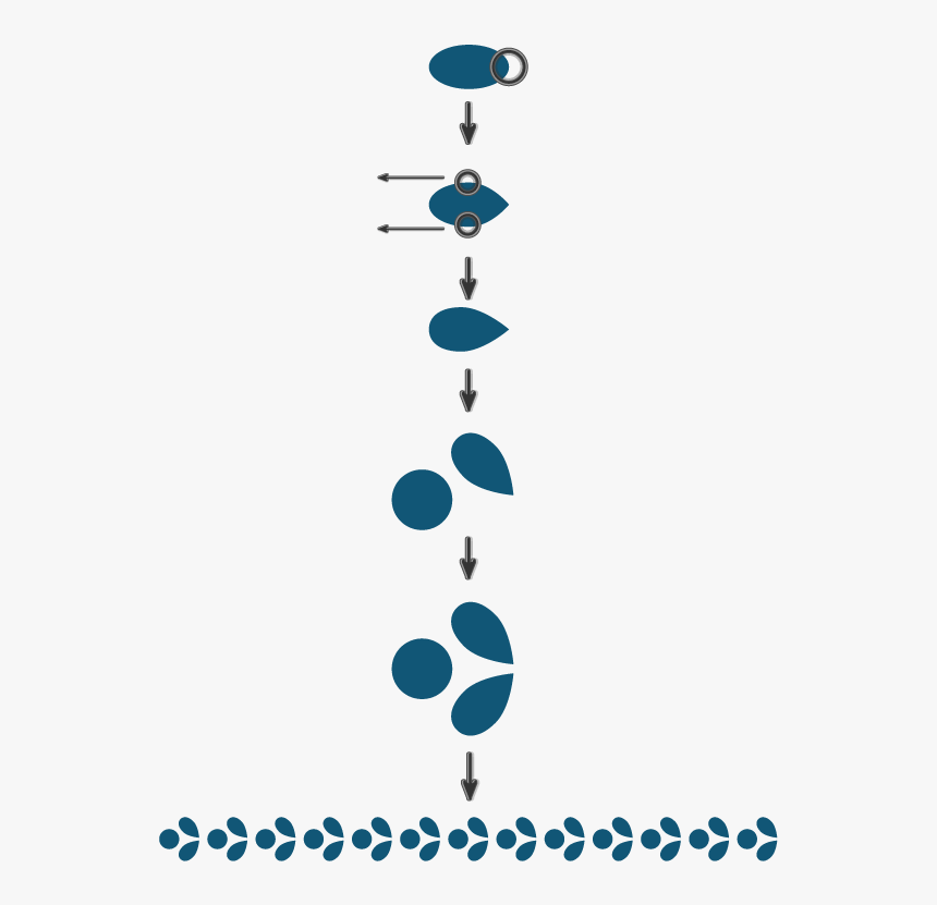 Graphic Design, HD Png Download