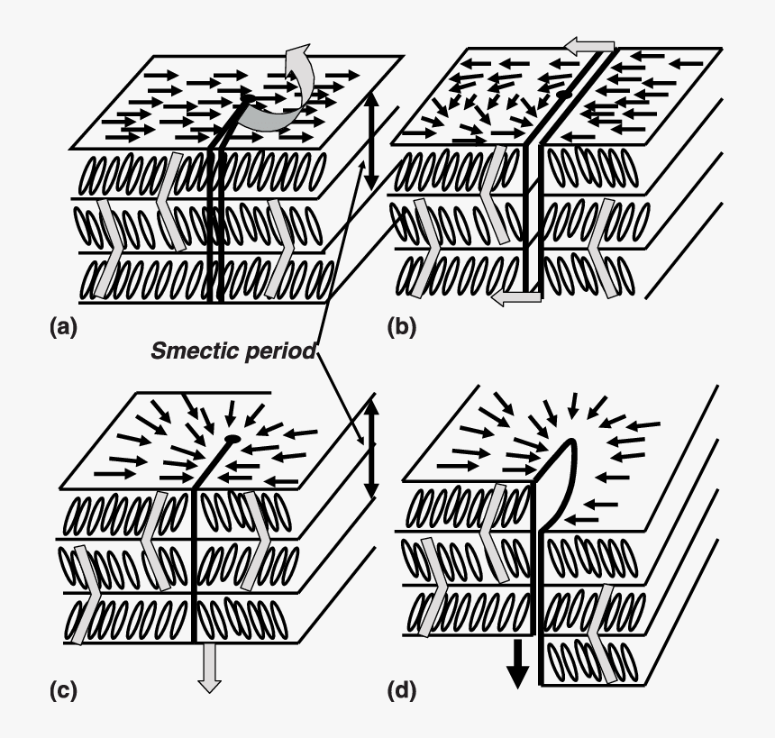 Diagram, HD Png Download