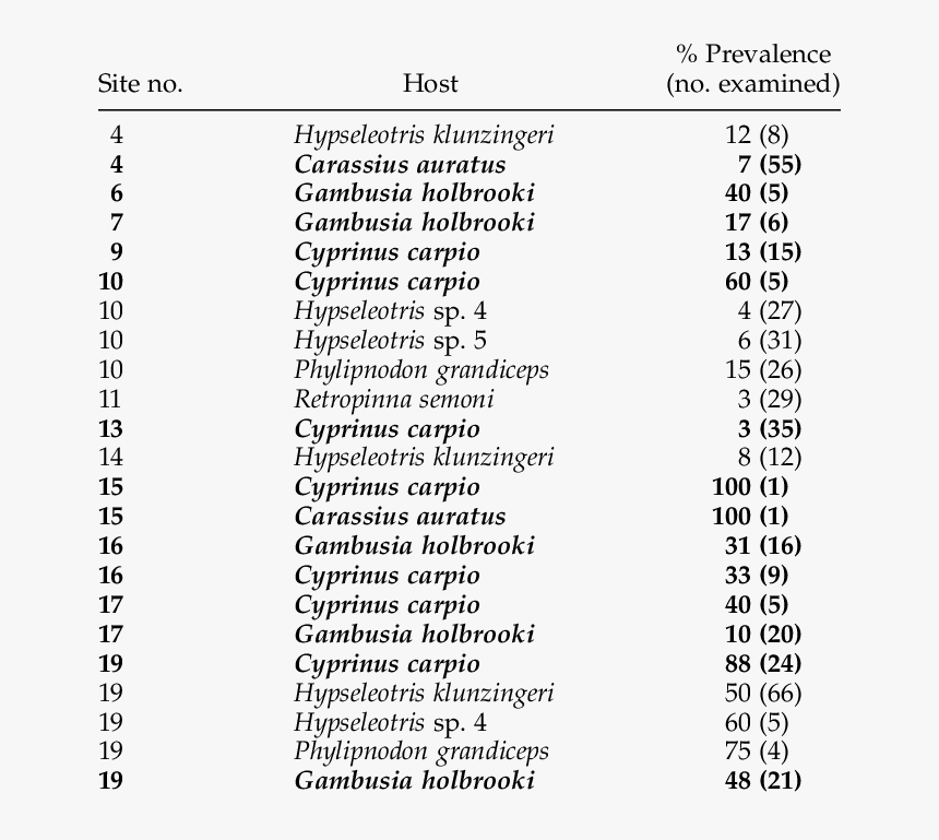 Human Cytokines Primer Sequences, HD Png Download
