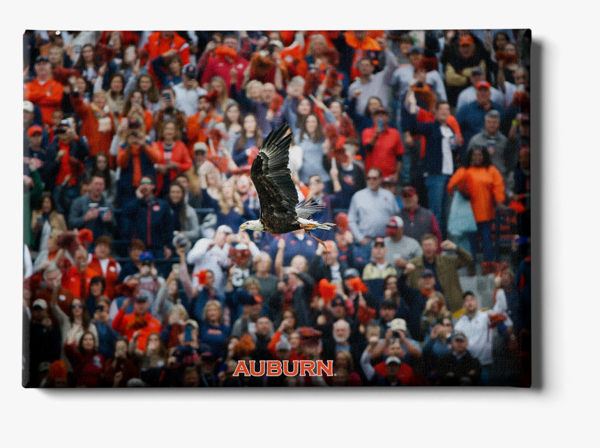 War Eagle Soars - Crowd, HD Png Download