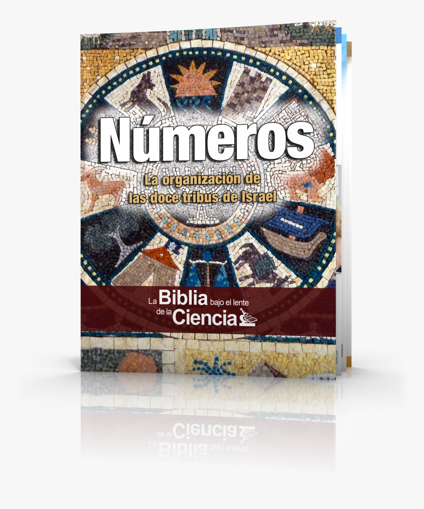 Números - Simbolos De Las 12 Tribus De Israel, HD Png Download