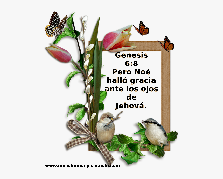 Ssbias - 128 - Noe - Portable Network Graphics, HD Png Download