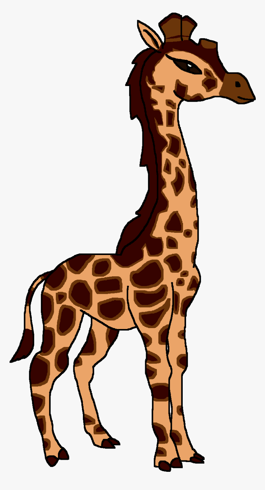 Rothschild S Giraffe - Giraffe, HD Png Download