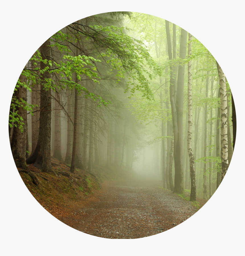 A Pathfinder Retreat Coming Fall, HD Png Download