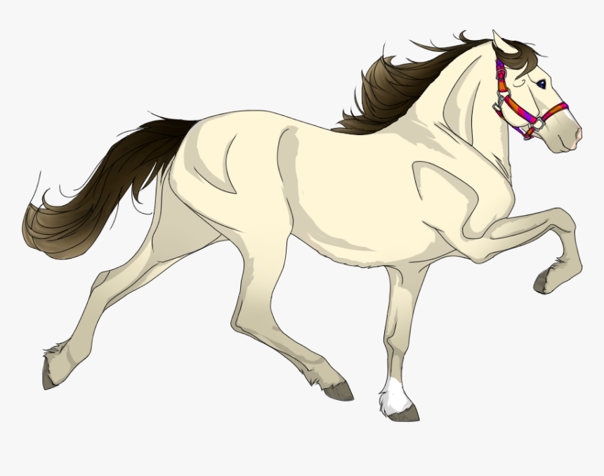 Flea Bitten Grey With Blood Marks, HD Png Download