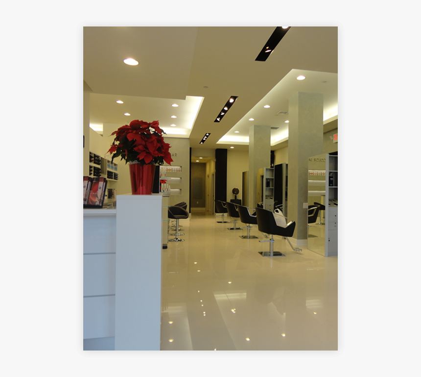 Pasch Salon, HD Png Download