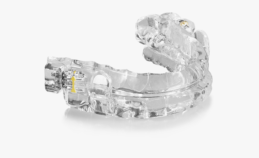 Prosomnus Ia, HD Png Download