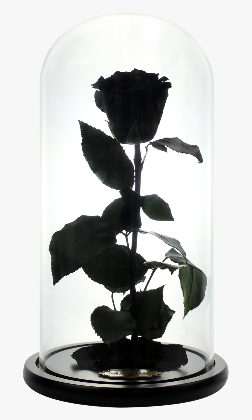 Vase, HD Png Download