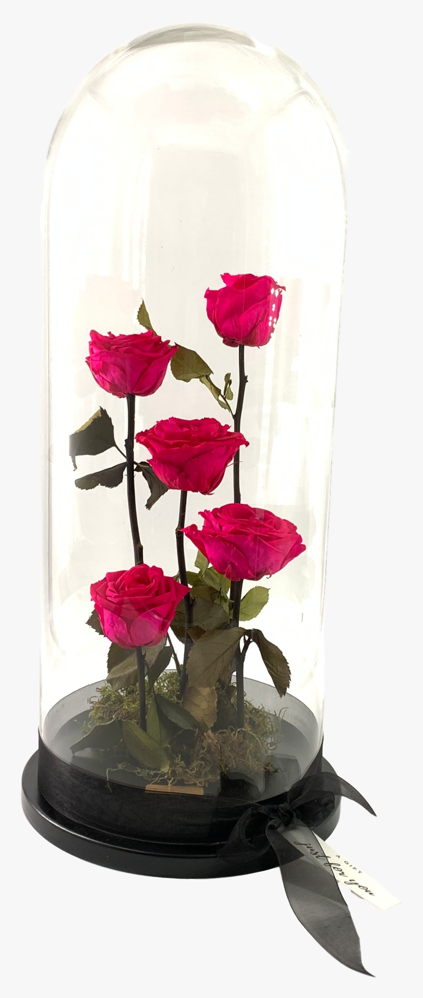 Garden Roses, HD Png Download