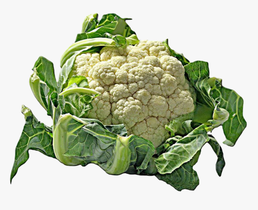 Cauliflower Cut-out Clipart - Blumenkohl, HD Png Download