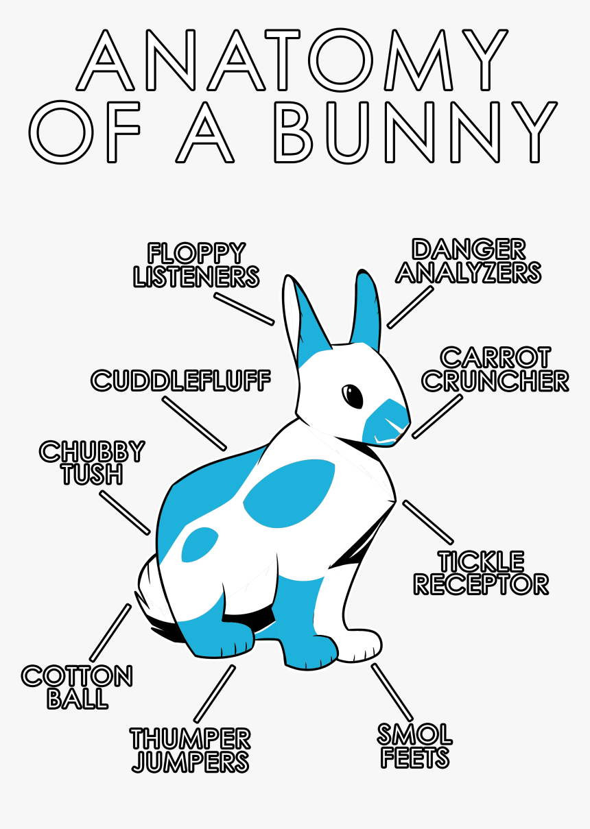 Rabbit Ears Png, Transparent Png