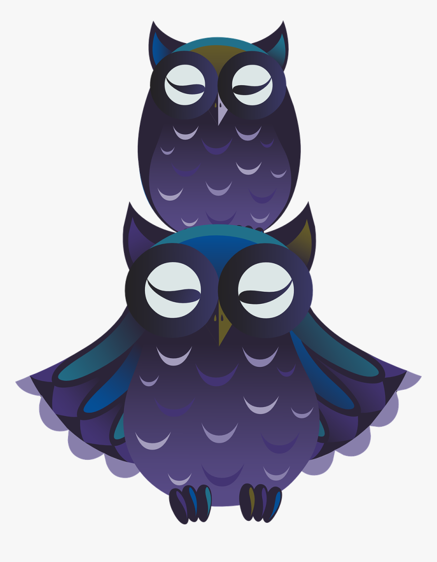 Gtm Store Coupons, HD Png Download , Transparent Png Image PNGitem