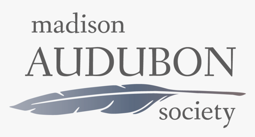 Mas-gradientlogo - Calligraphy, HD Png Download