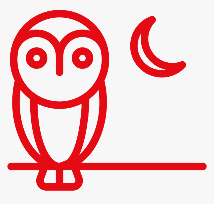 Night Owl - Owl, HD Png Download