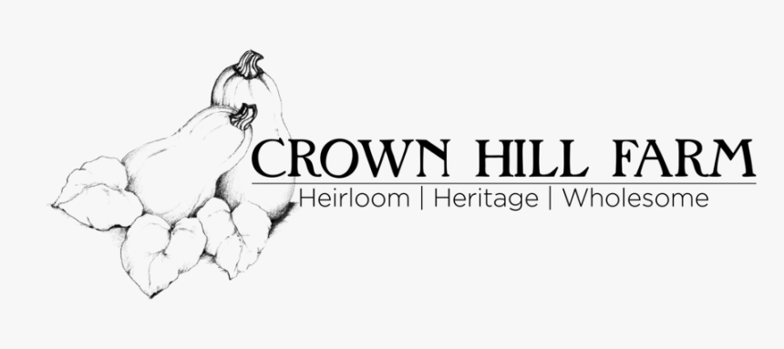 Drawn Crown Png, Transparent Png