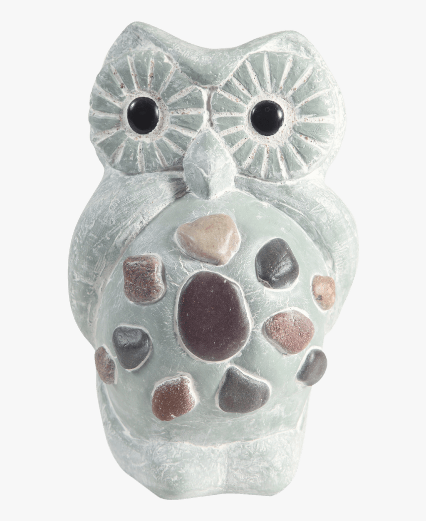 Owl, HD Png Download