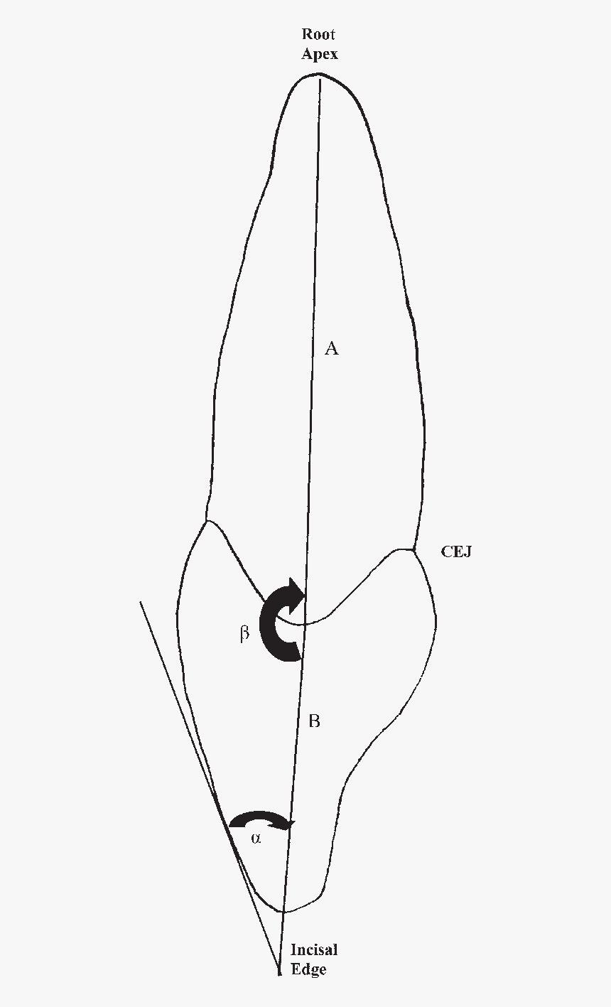 Drawing, HD Png Download