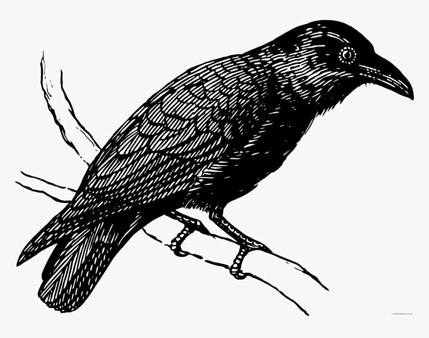 Freeuse Stock Page Of Clipartblack Com Animal Free, HD Png Download