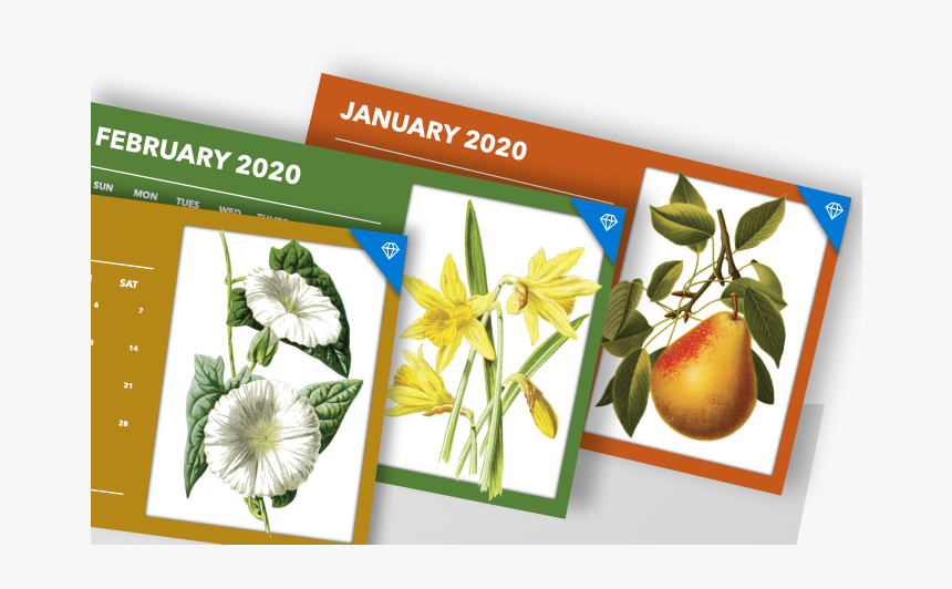 Calendars - Passion Flower, HD Png Download