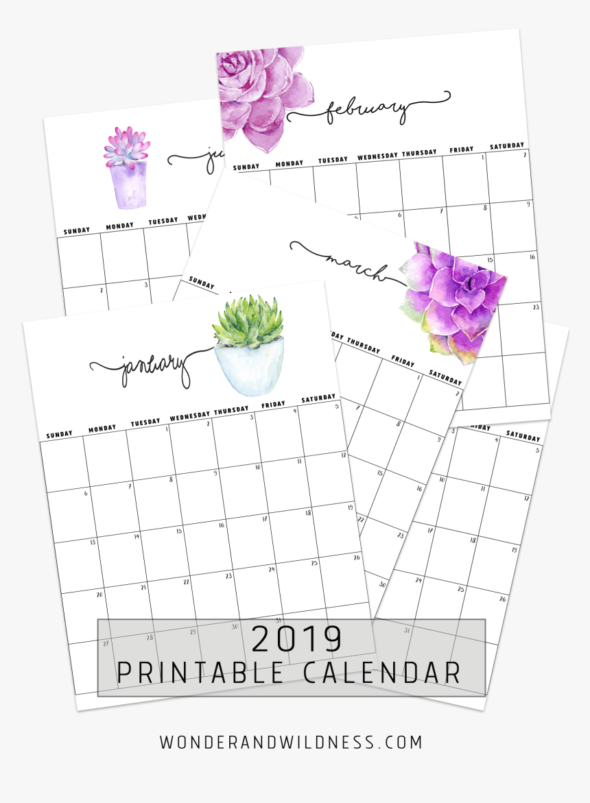 2019 Printable Succulent Calendar, HD Png Download