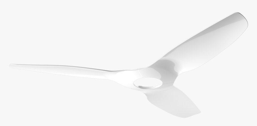 Laughing Gull, HD Png Download