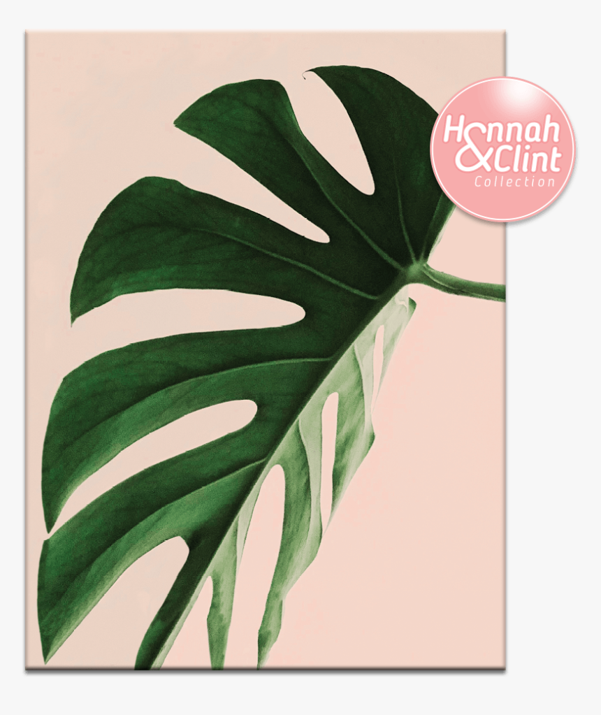 Printable Wall Art Plants, HD Png Download